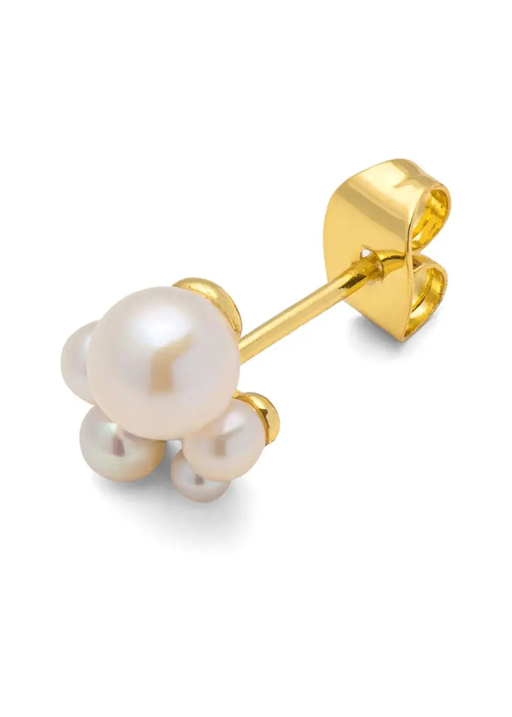 Gold plated stud earring with clustered white pearls on a white background