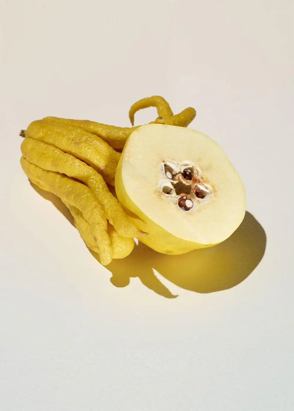 Fresh yellow Buddha's hand fruit and a sliced quince on a light background
