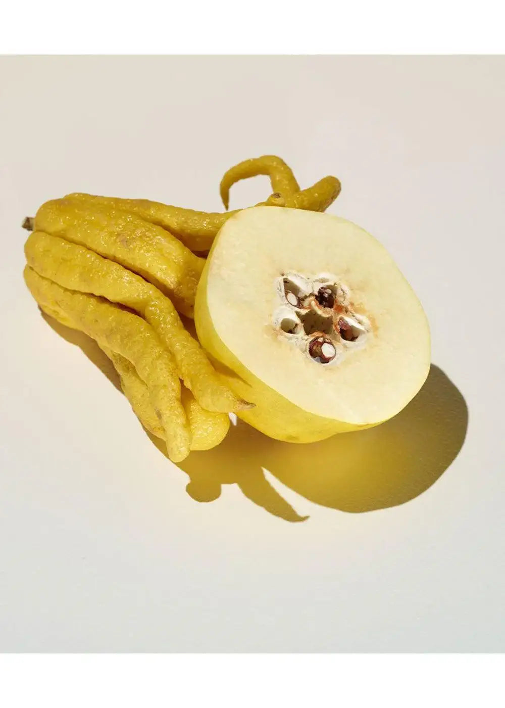 Yellow Buddha's hand citrus and sliced quince fruit on a neutral background