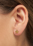 Starfish 1 pcs - Domino Style